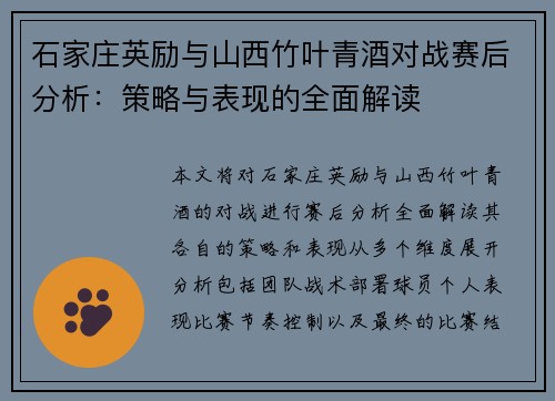 石家庄英励与山西竹叶青酒对战赛后分析：策略与表现的全面解读