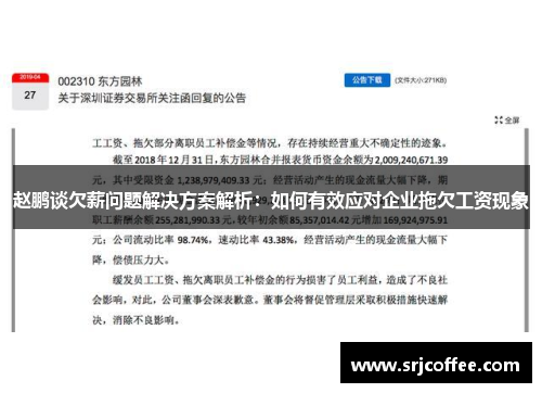 赵鹏谈欠薪问题解决方案解析：如何有效应对企业拖欠工资现象